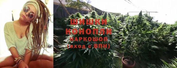 стаф Бугульма