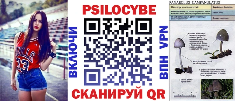 Купить  Нефтекумск  Галлюциногенные грибы мицелий 